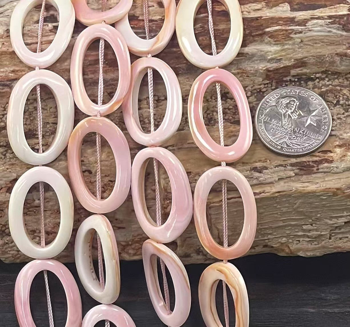 Queen Conch Shell, Oval Rings 20mmx30mm