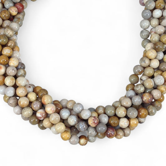 Fossil Coral Round