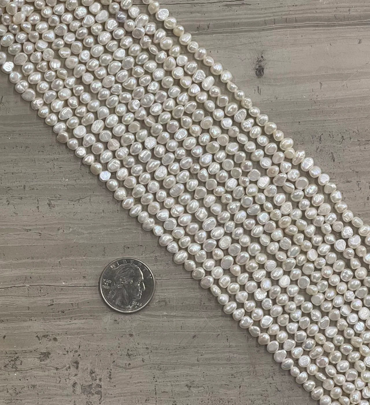 Abalone ShellAbalone Shell