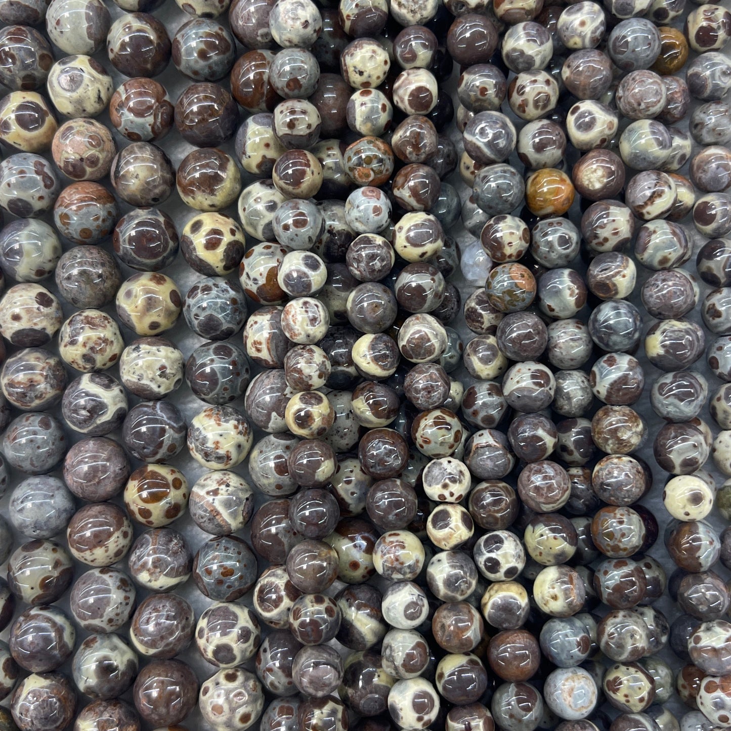 d8395ea1-a13a-4c18-9f98-8a1fee81d63a