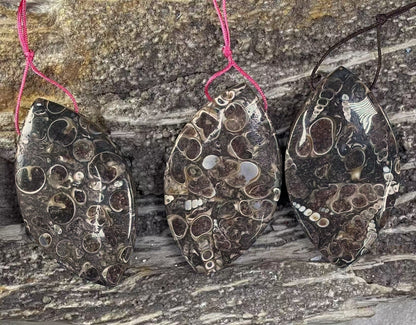 b82f0dc8-48c5-40a0-859c-bd221c5ce371