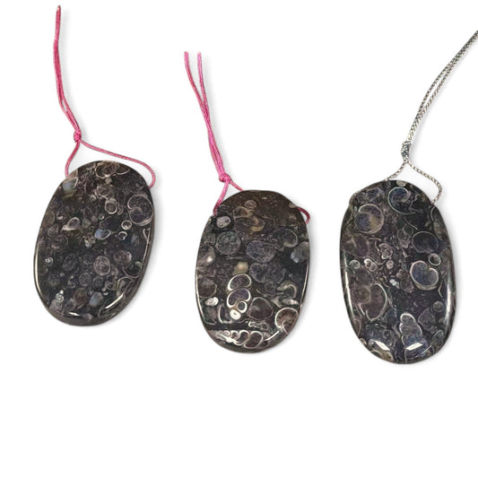 37e5c11f-e7b4-4fae-8cb5-e80140a02b40