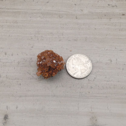 Aragonite Star Cluster Rough (1 pc)