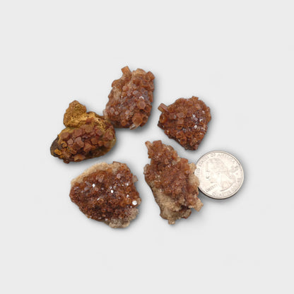 Aragonite Star Cluster Rough (1 pc)