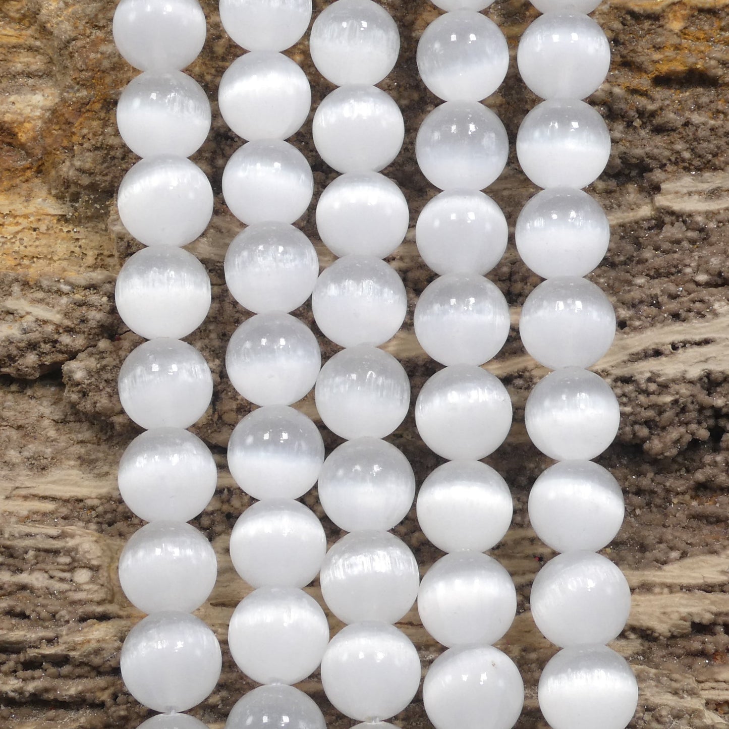 ef391403-532e-4b61-adce-49cb737e6d8b