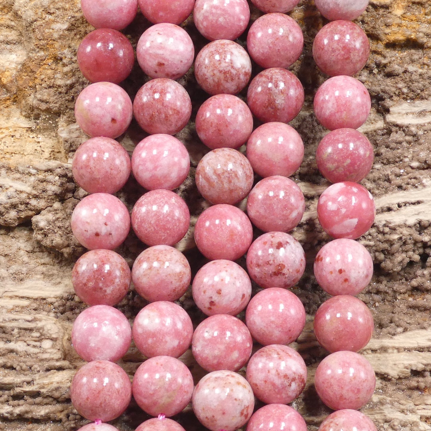 73956694-296e-4a89-a44e-8be9e4f2f2e0