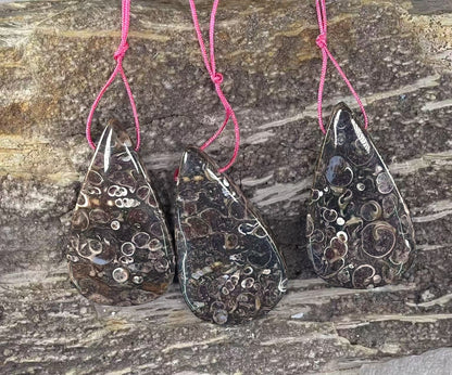 386b1886-5f0f-48ab-b597-a0b7bb27400e