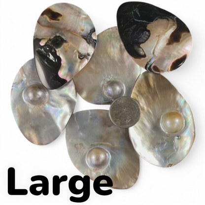 Mabe Pearl / Blister Pearl, Undrilled Freeform Shape