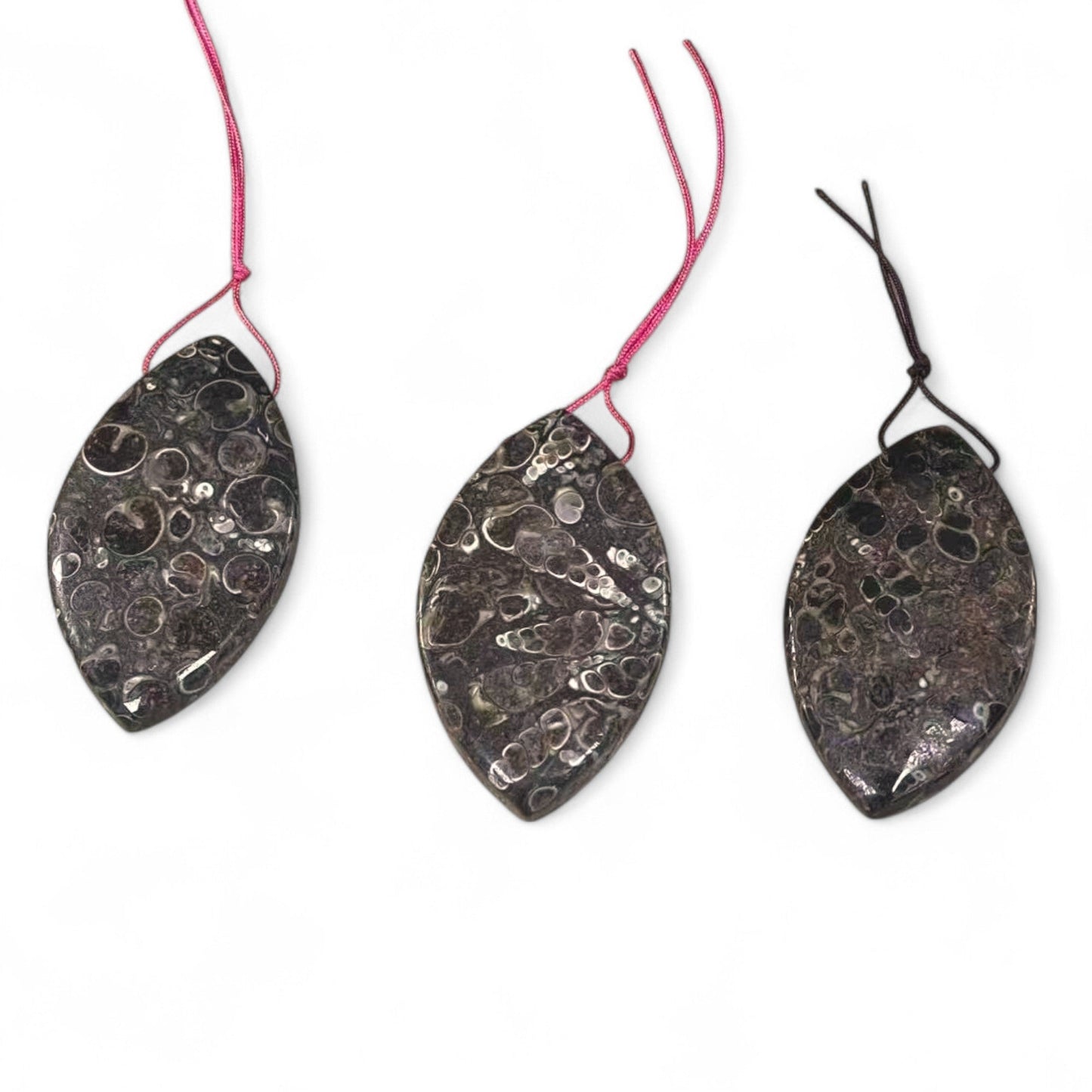 f6012bbe-627a-4ac9-93e3-e23b2a1a2e35