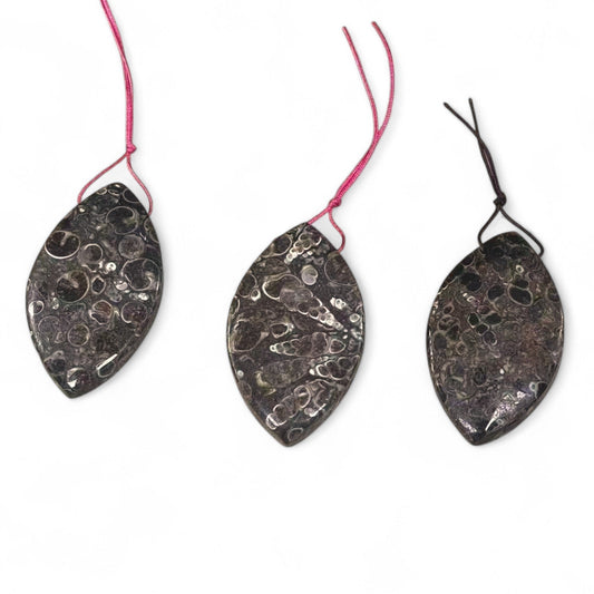 f6012bbe-627a-4ac9-93e3-e23b2a1a2e35