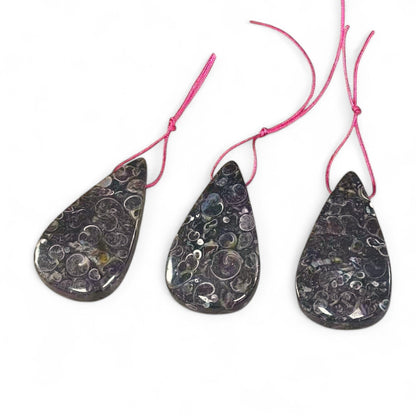 af4b67a7-cedf-4c66-a886-0594344ef114