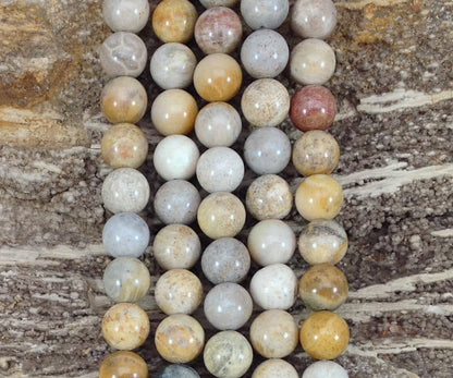 d87cfc6a-5ce6-4055-b78a-048d918218f6