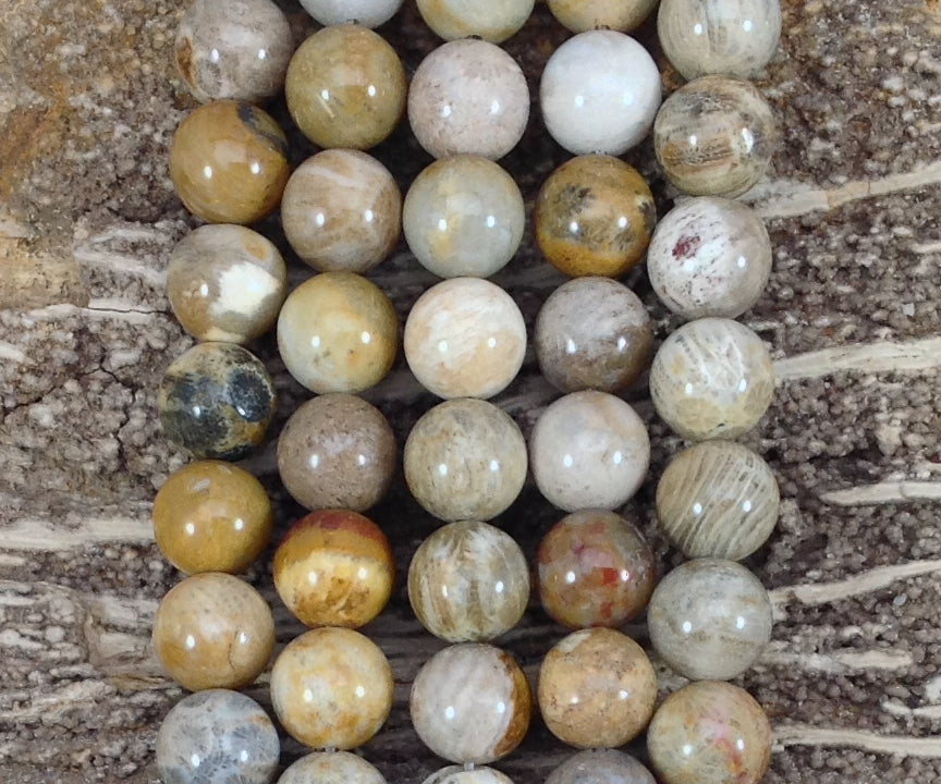 64b6a3cc-4770-4725-a99c-ad5b32fee29f