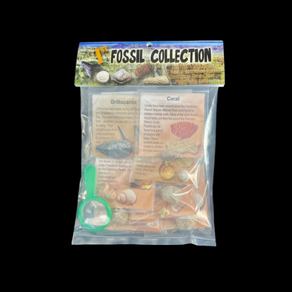 1st Fossil Collection Bag 10 Rocks and Minerals *Ages 8+* (1 Set)