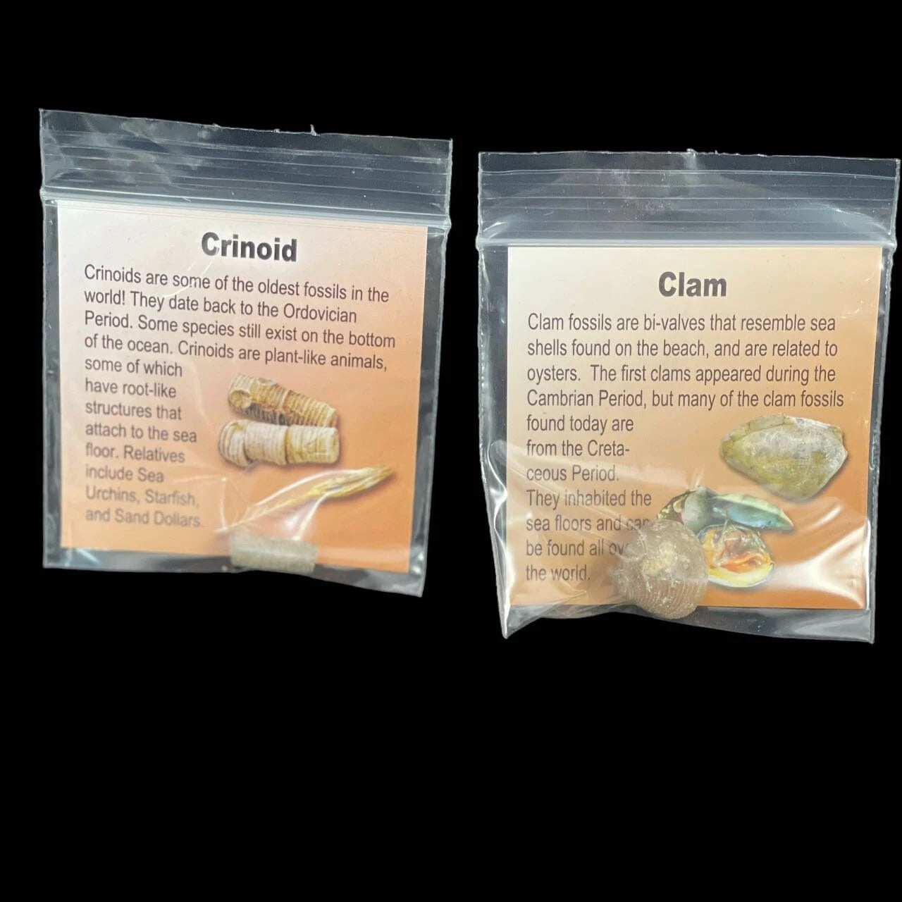 1st Fossil Collection Bag 10 Rocks and Minerals *Ages 8+* (1 Set)