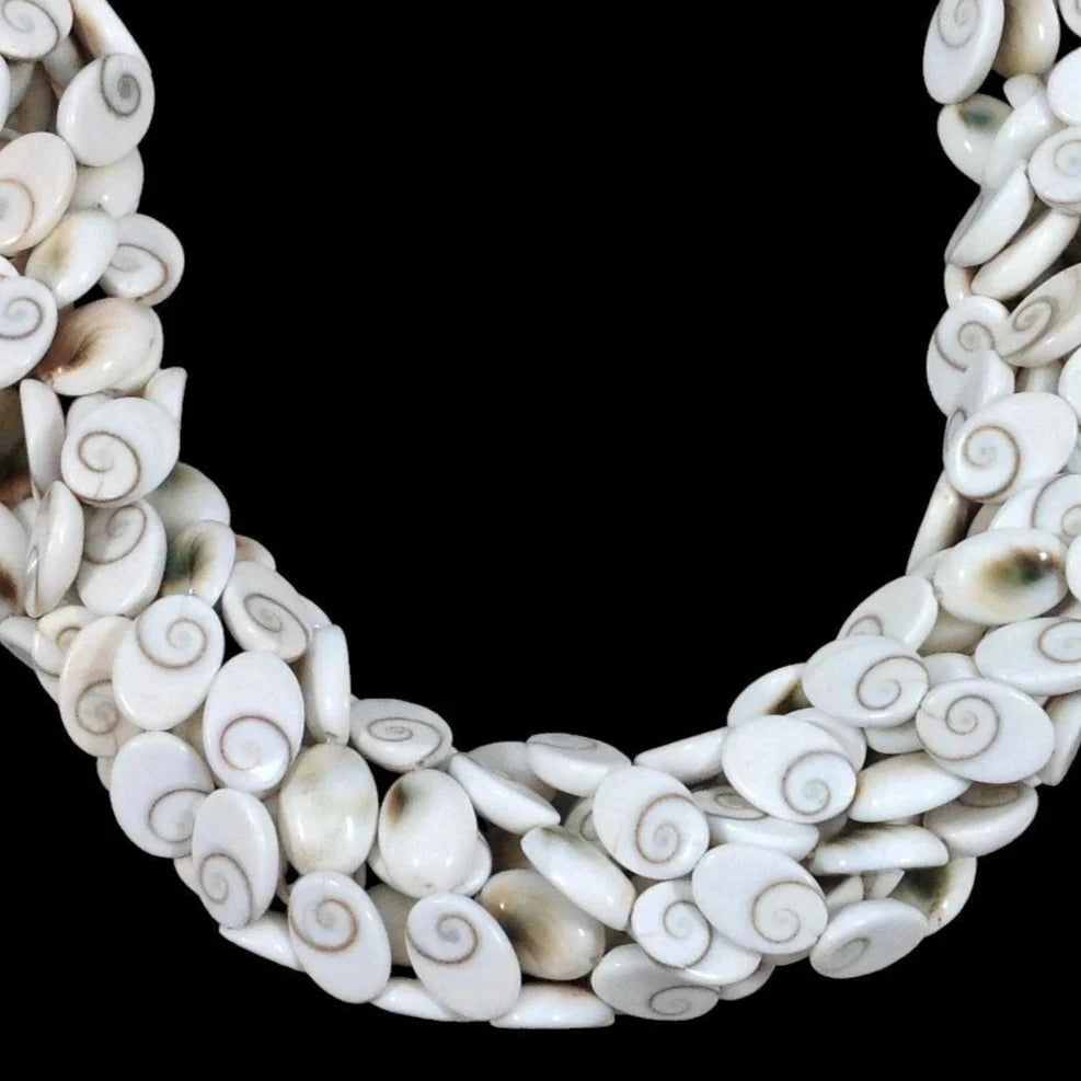 Shiva Shell, Pacific Cat's Eye Shell, Operculum, Gastropod, Oval – The ...
