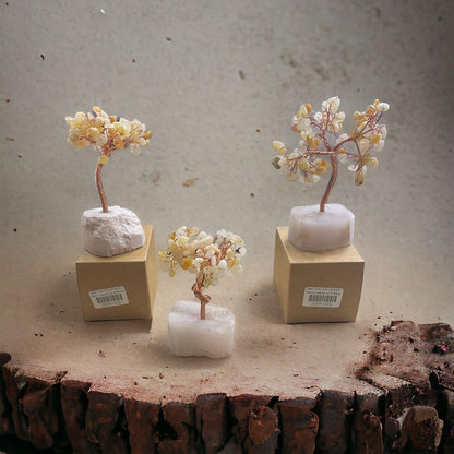 c6cb3d23-8cc8-43c2-b18b-07ed494fbad1