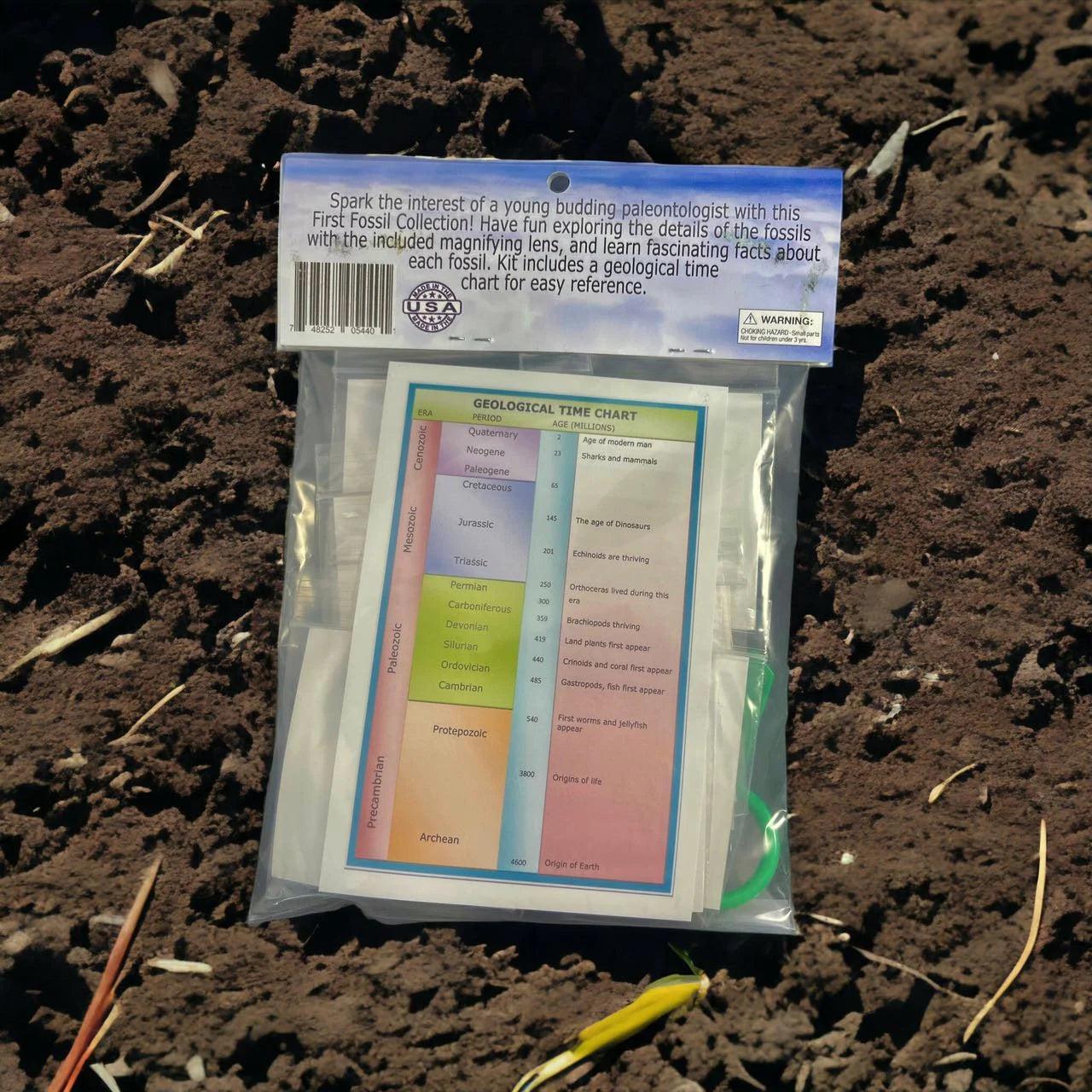 6f7ba446-3726-4ef6-95ff-e979e0e88b84