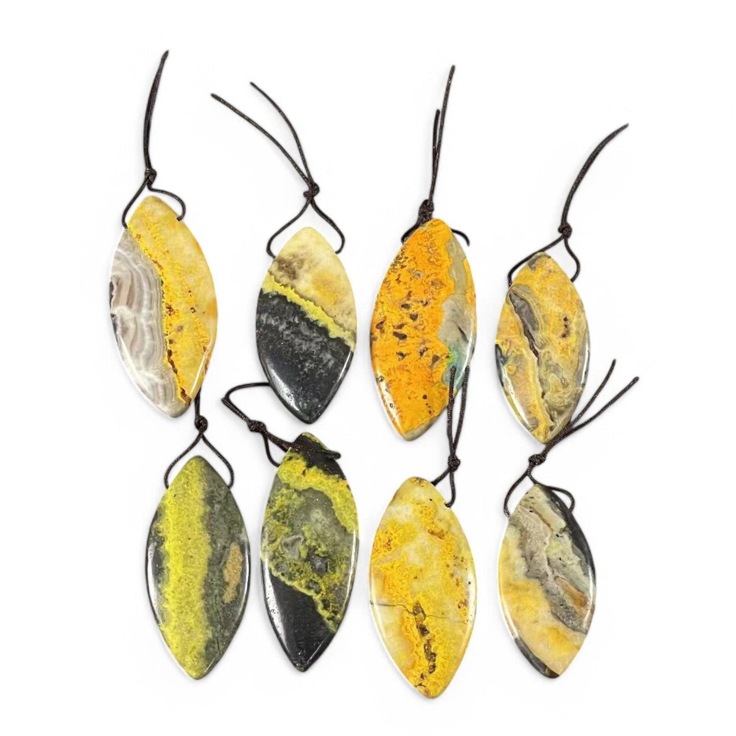 8b1ed050-2a12-4a46-9cf1-c433e00e068c