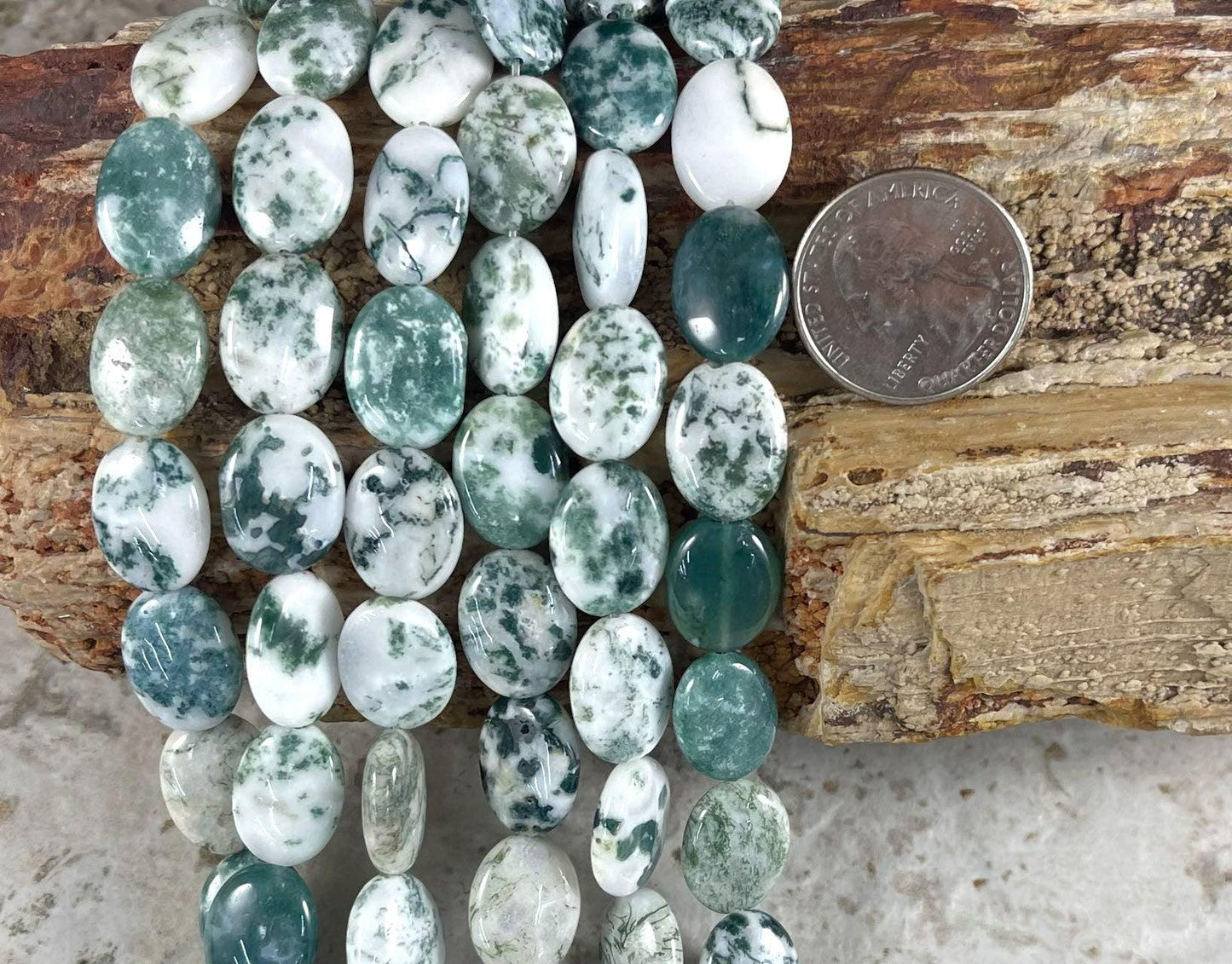 4c53bdbf-2bd1-410b-934b-28c9a4b456f9