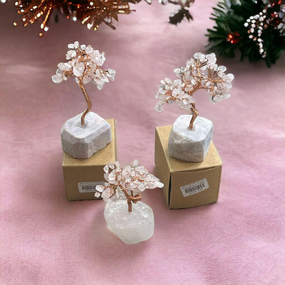 8e65efdc-98ec-4201-94ca-5547525951b8