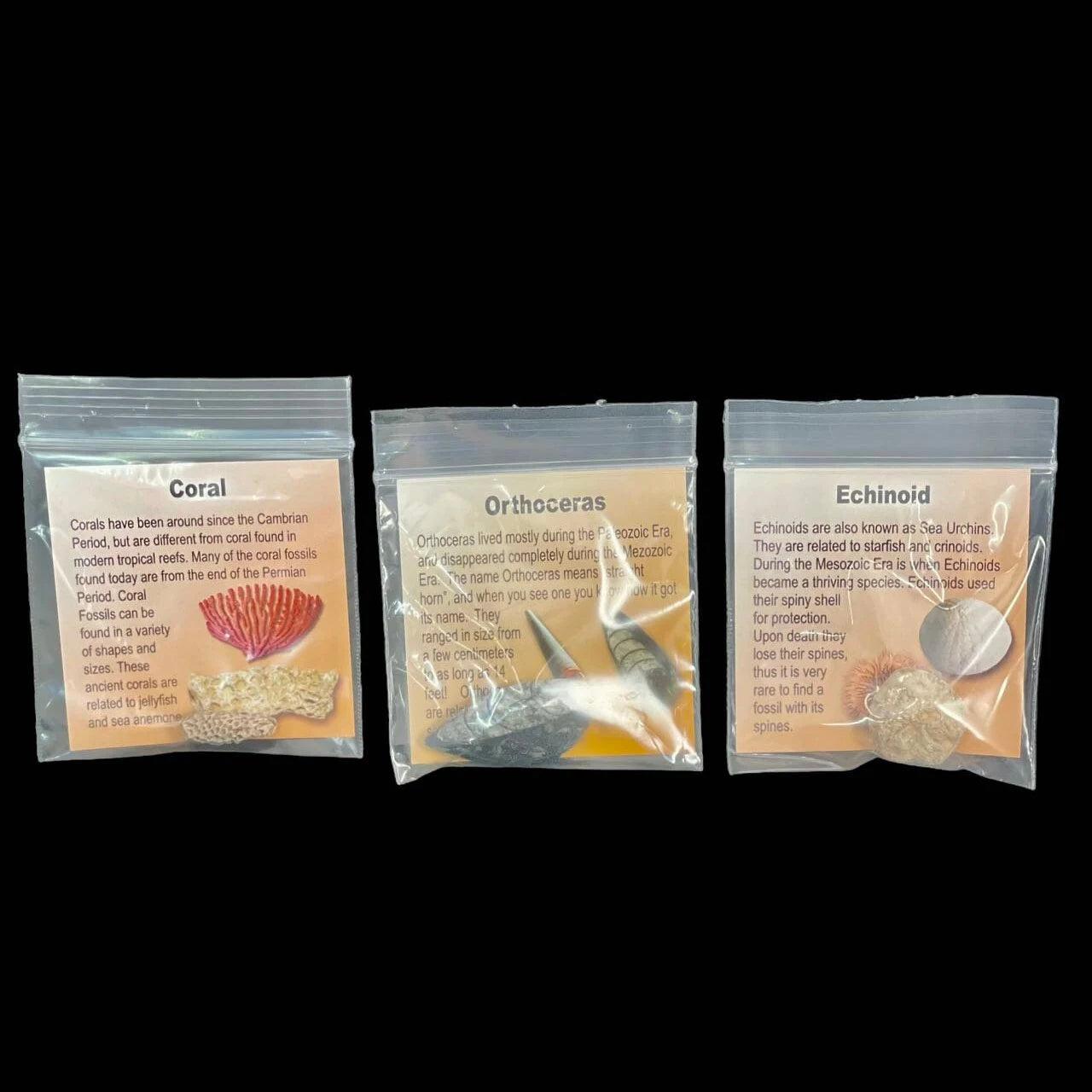 6d54e45f-016d-467b-aa92-4b95096a8853