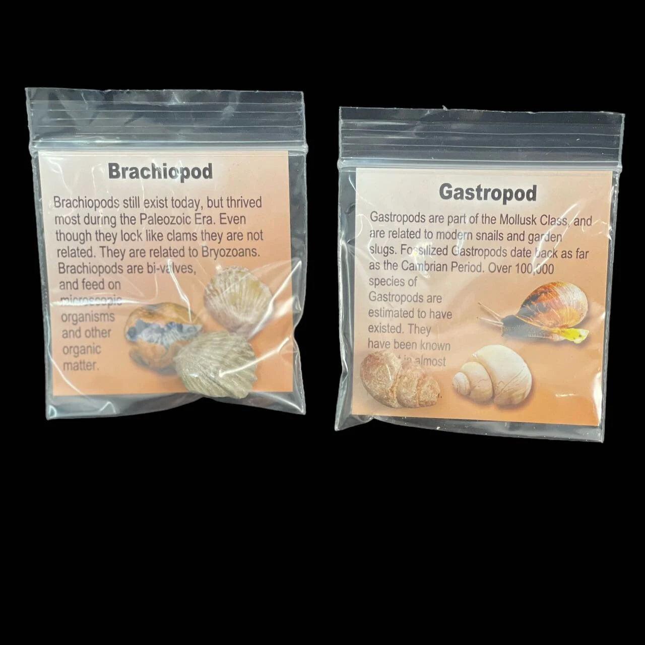 8b61745b-614b-42b1-999d-94fcda68fd88