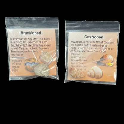 8b61745b-614b-42b1-999d-94fcda68fd88