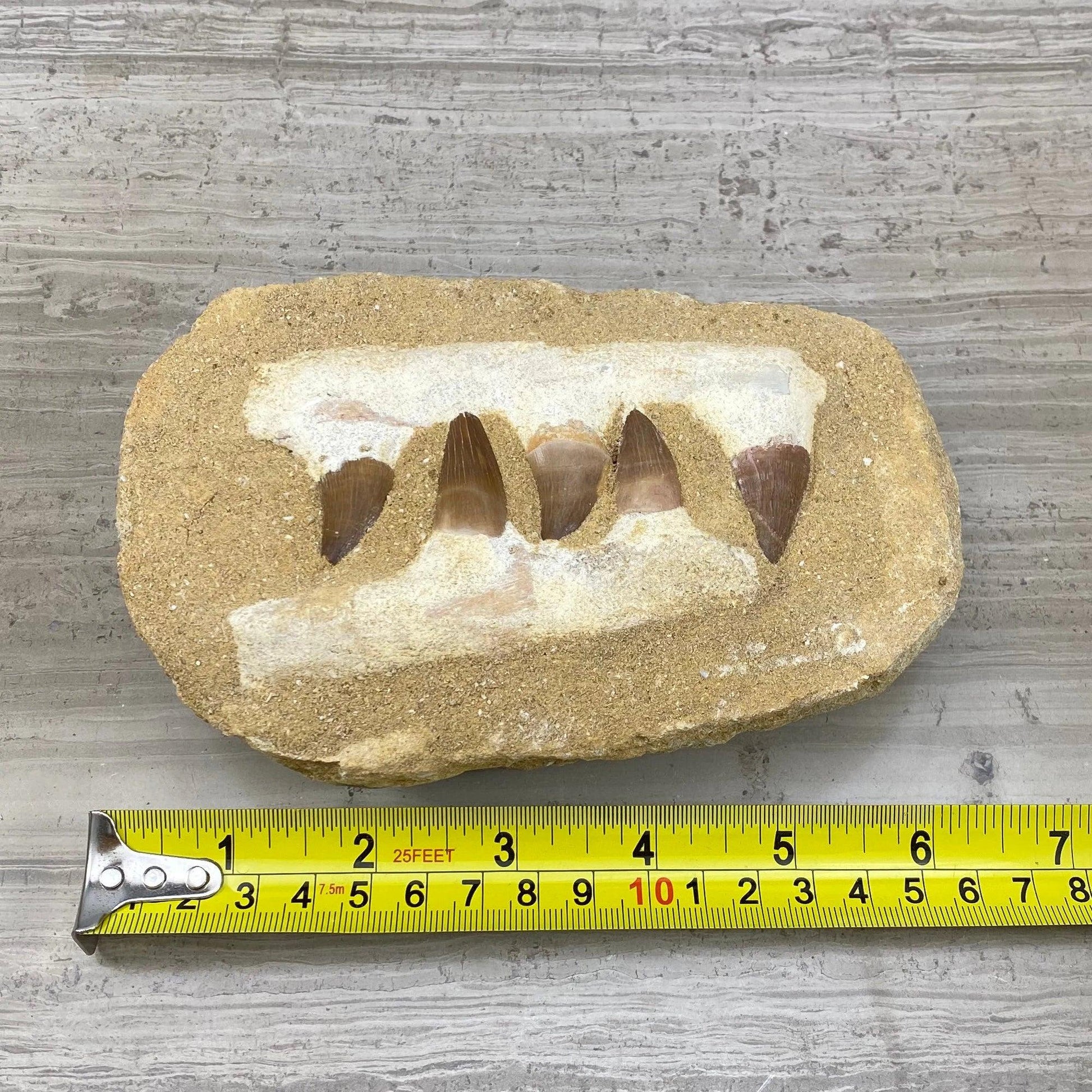 530da123-4076-46a6-a2f2-0cff7786be1d