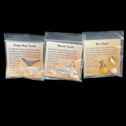 84f00d77-e6cb-40de-83bf-5b586662e790