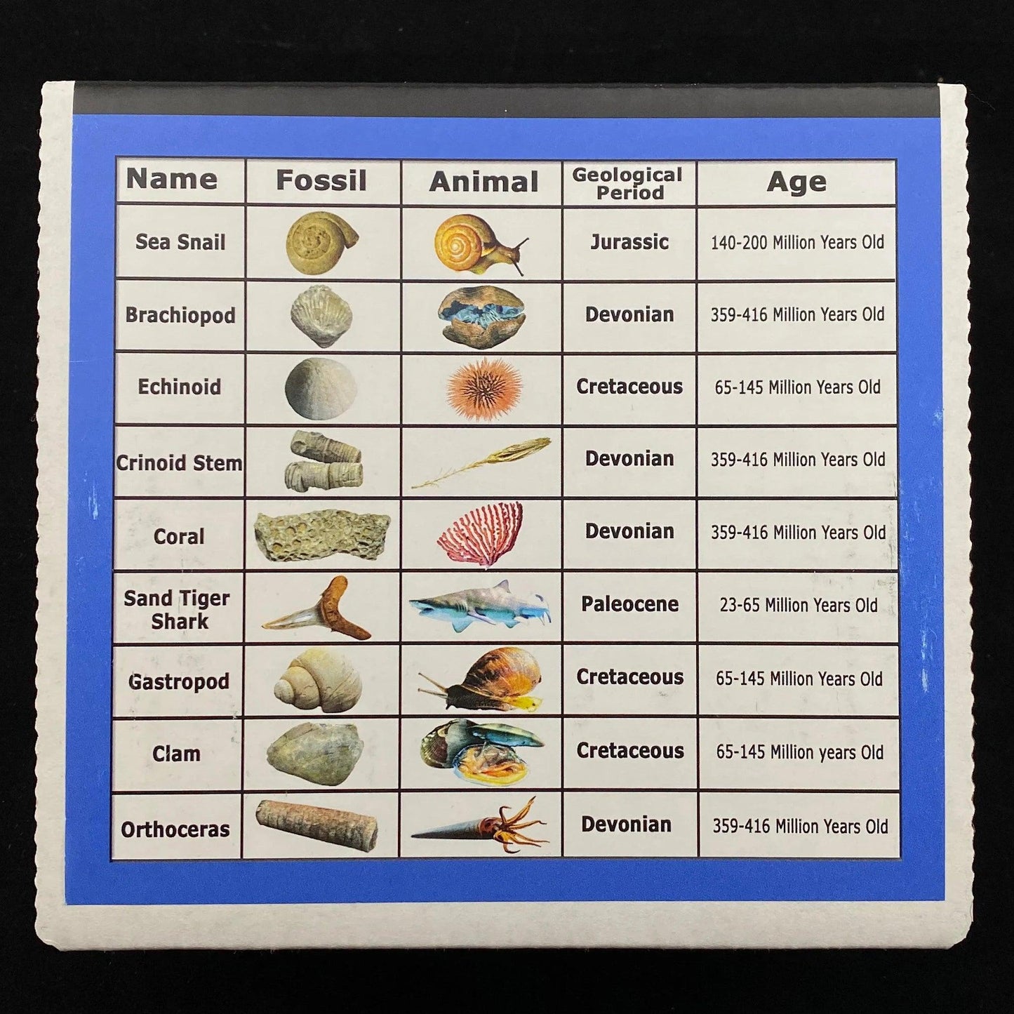 2c062327-99bf-4d60-9097-a1df10e34248