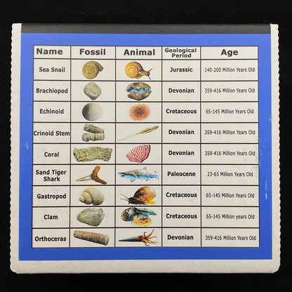 2c062327-99bf-4d60-9097-a1df10e34248