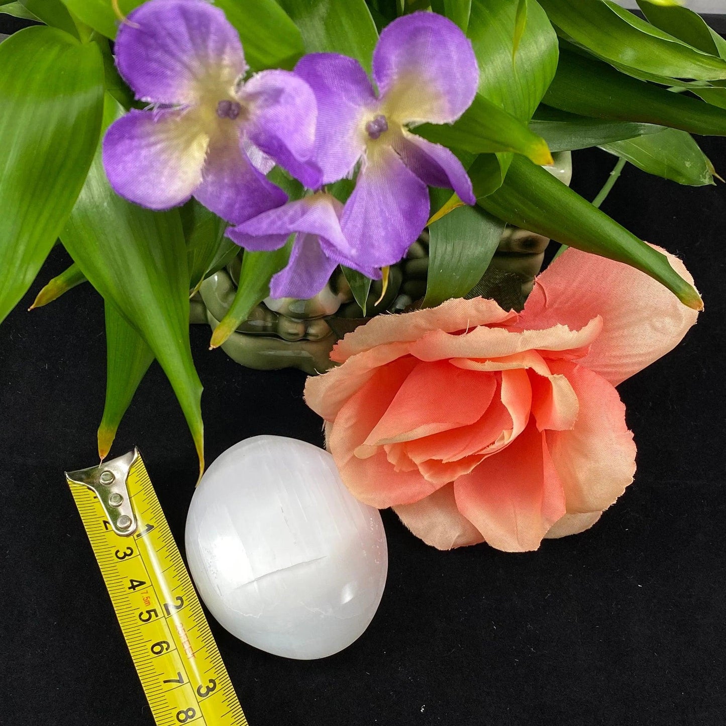 c5333b86-7e66-46f4-9b6f-4e7762233bb4