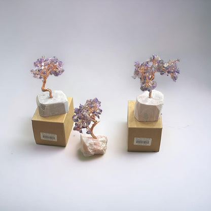 38b121bd-8ca1-4e4a-b0cb-cf2a95f9f50c