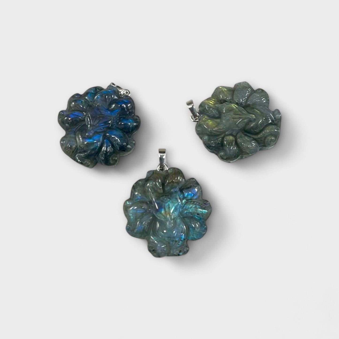 6e087be0-1b30-4425-aef3-a481dab73fcb