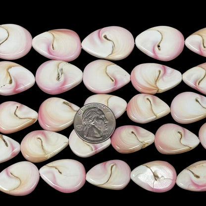 2b071b60-3b40-4ac5-bc38-ff1e2e8cf32e