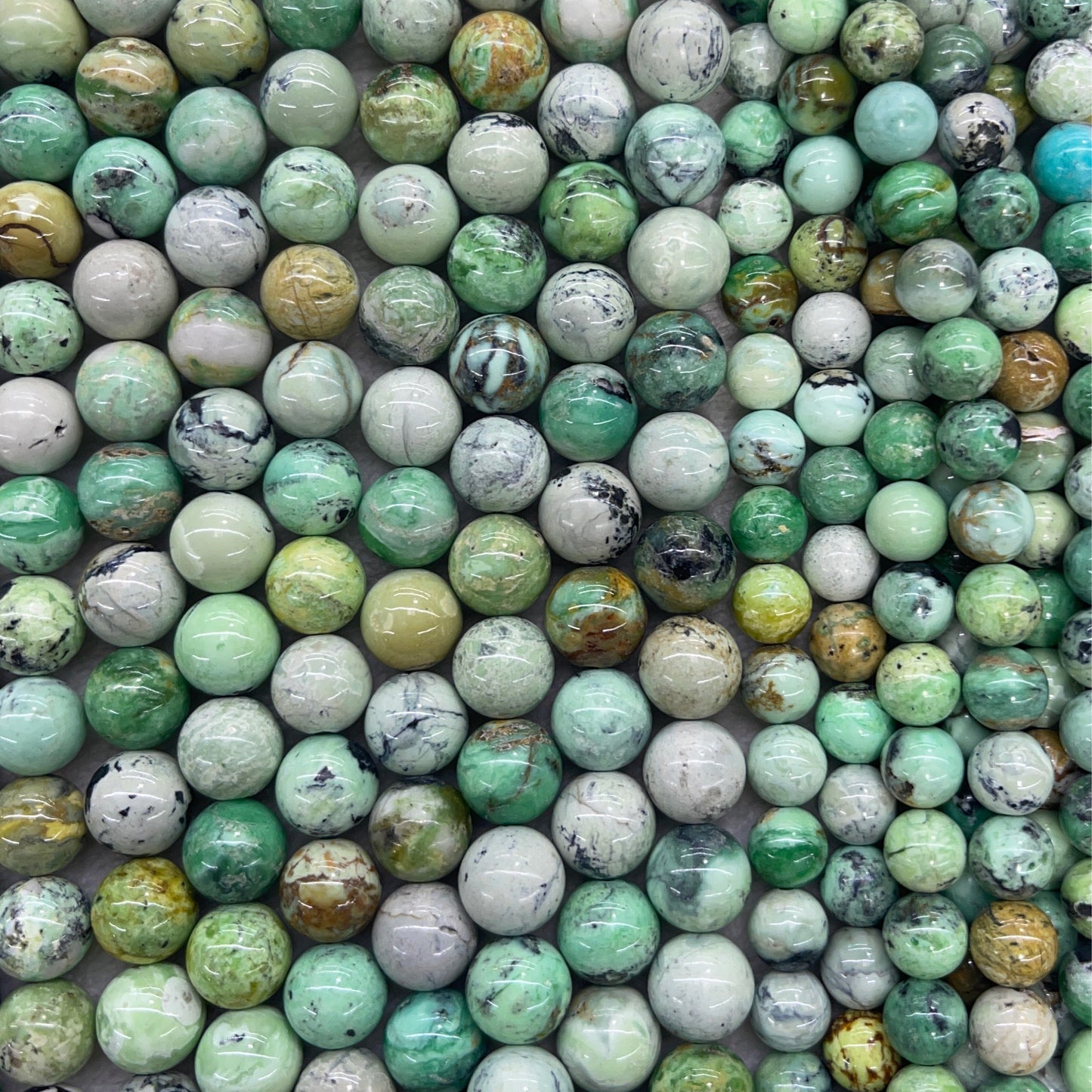 6b9a4bbf-48f0-4809-8872-a9e7df7f6b6f