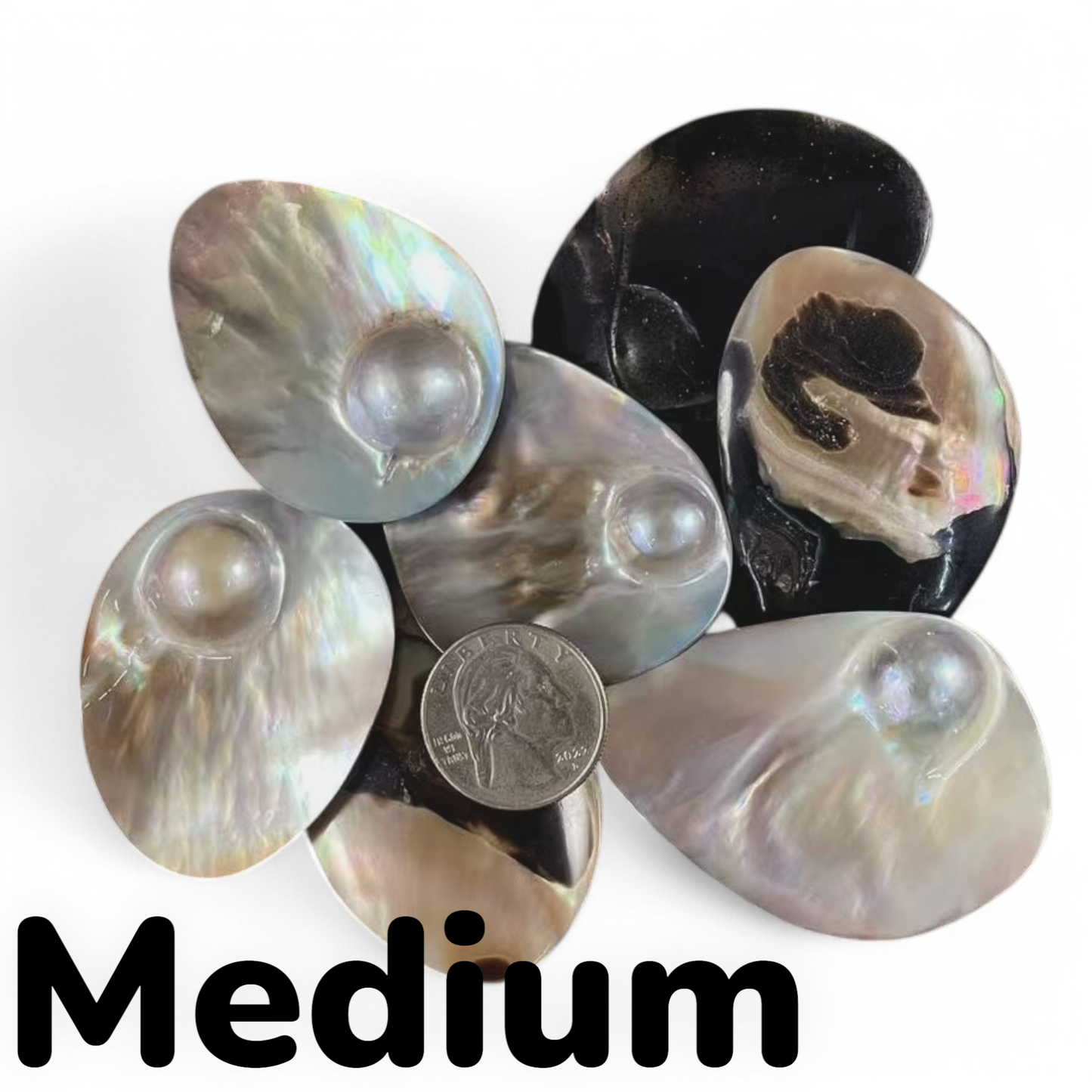 7e7f5554-2525-4408-b705-3fc1ea841185