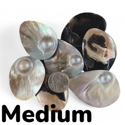 7e7f5554-2525-4408-b705-3fc1ea841185