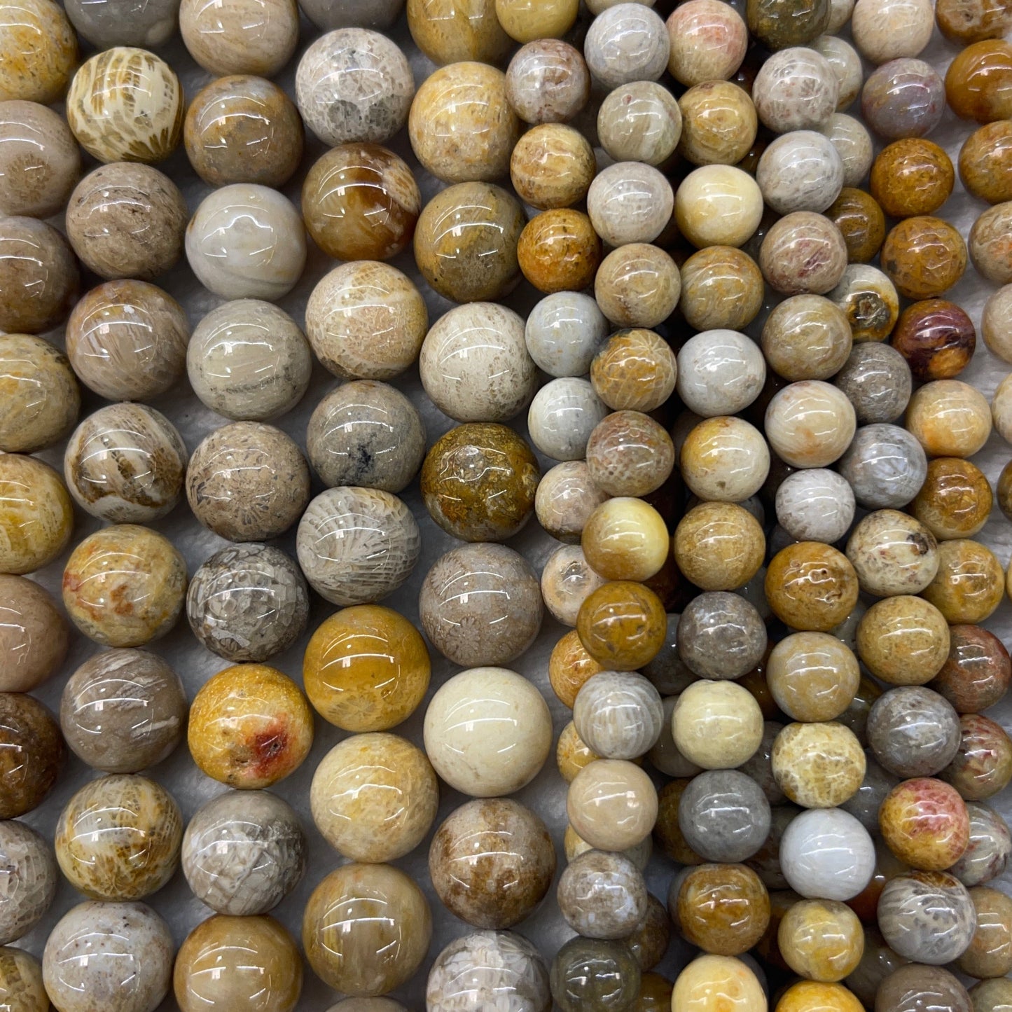 bb642c0c-a651-44b8-8463-3d92f38dc114