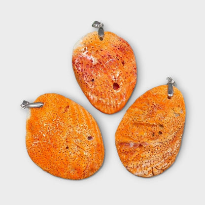 6e699869-7d2e-4865-be31-d13d89c8409e