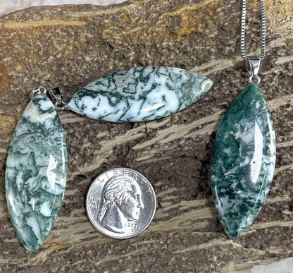 97ffb45a-16b2-42a5-b8ba-b151d3542e25