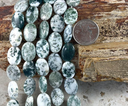 14e99579-0429-4ed0-a977-6319677558a5