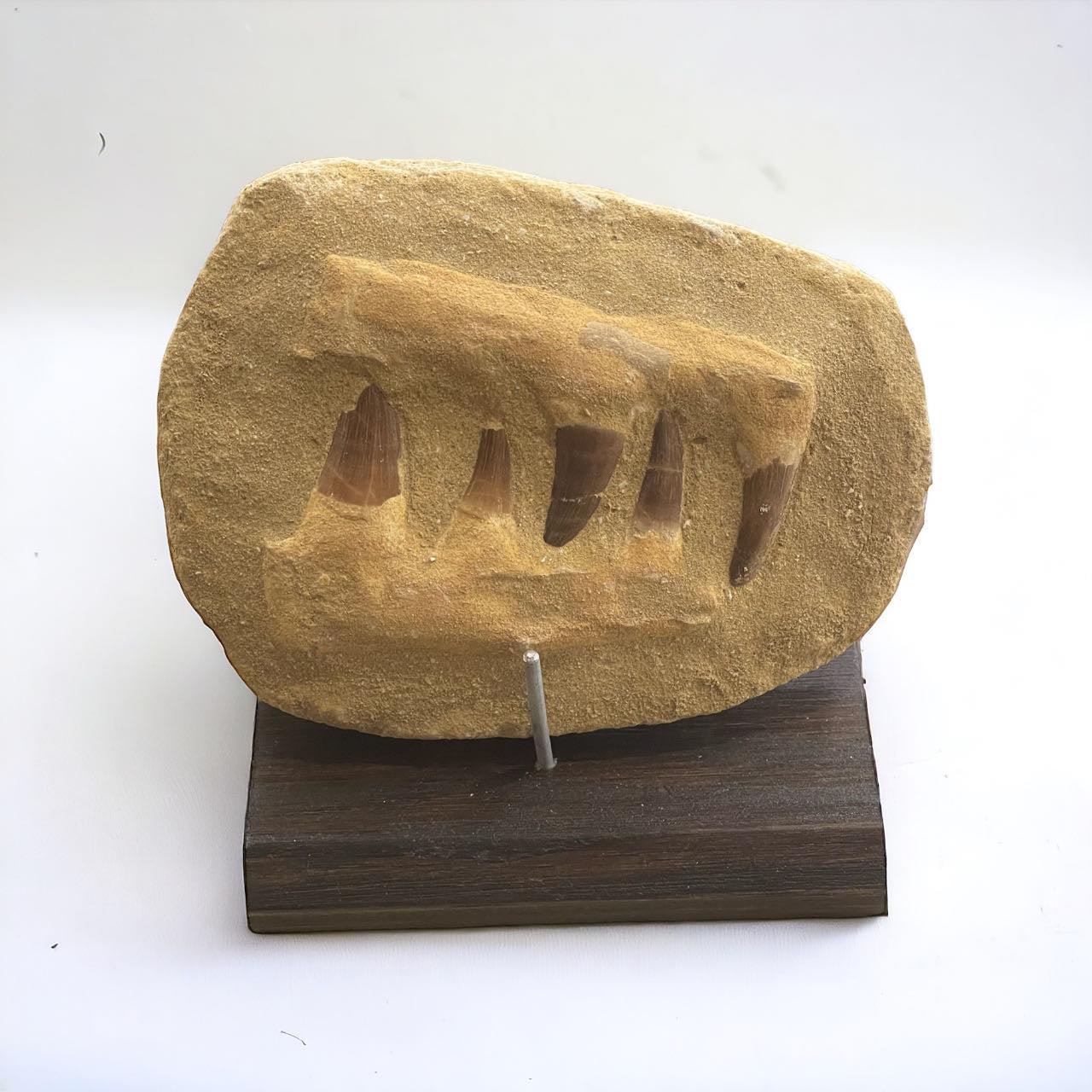 ab51b167-d993-4d7f-a26a-8395d71875fe