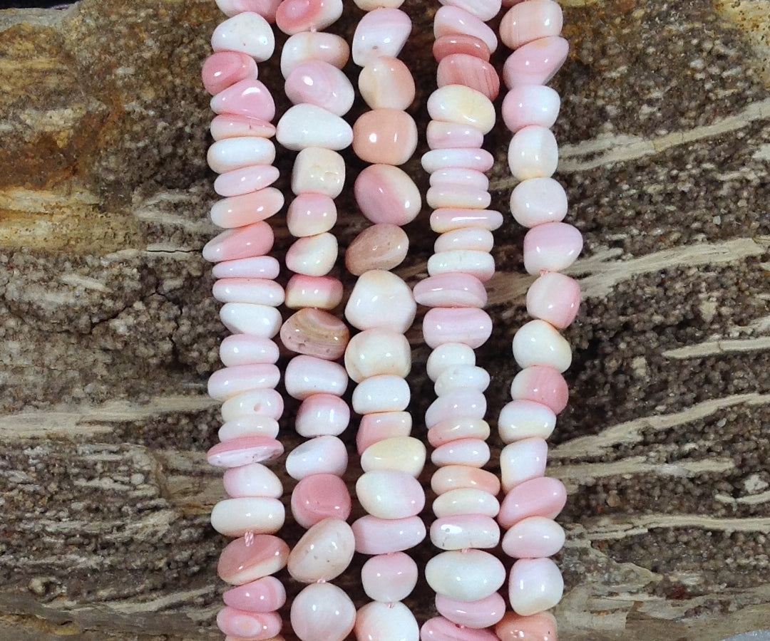 Queen Conch Shell Tumble Chips, Small Size/ Large Size