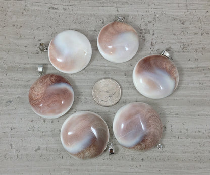 Shiva Shell, Pacific Cat's Eye Shell, Operculum, Gastropod Round Pendant