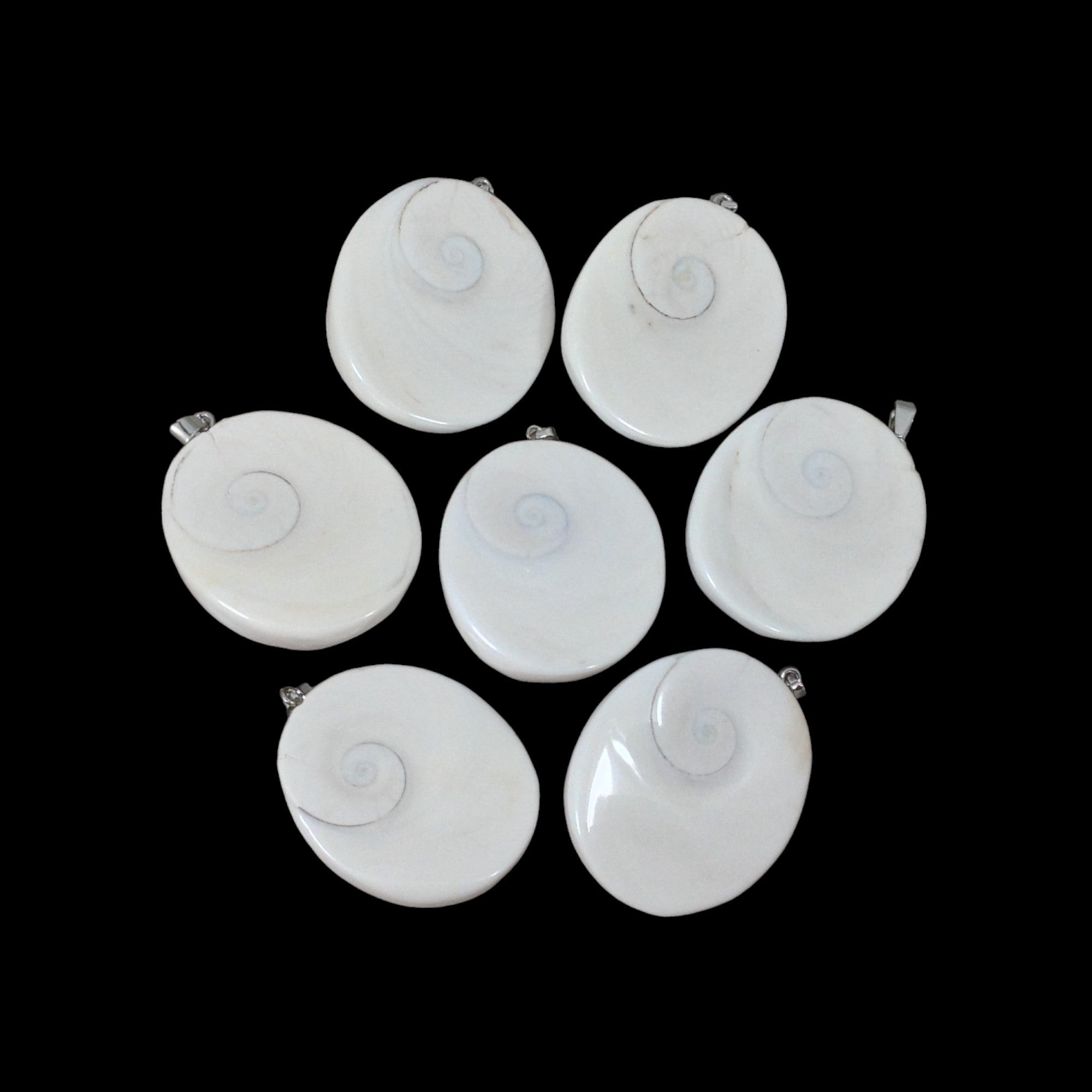 Shiva Shell, Pacific Cat's Eye Shell, Operculum, Gastropod Oval Pendan ...