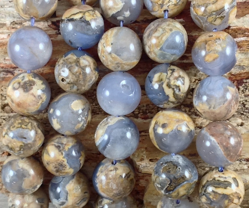 8af226ef-f23f-4234-89f1-26d0bc9e5213