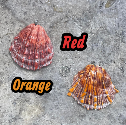 Spiny Oyster Shell, Druzy Large Pendant