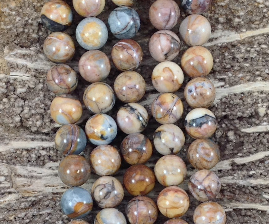 6f3cd3fe-fa7b-4c8c-8854-20e1ebf47245